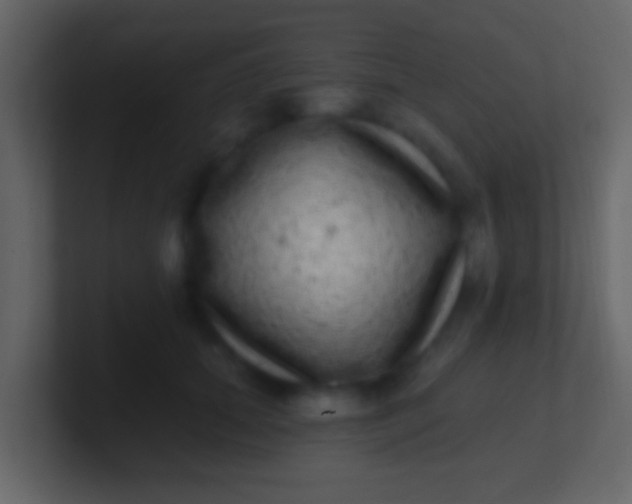X0000100910655200807081125