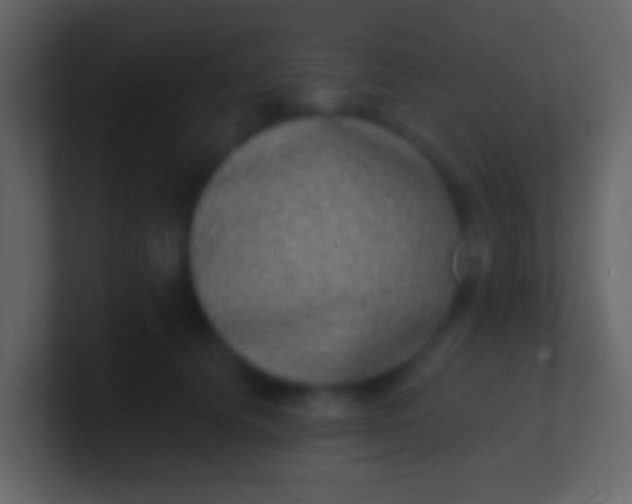 X0000100910656200807081125
