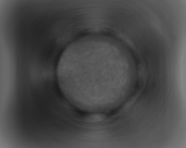X0000100910659200807081125