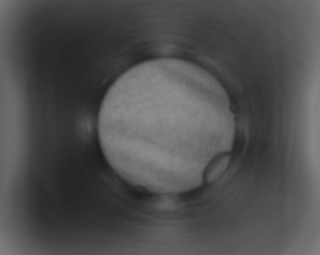X0000100910660200807081125