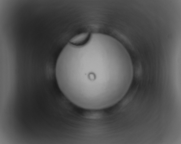 X0000100910661200807081125