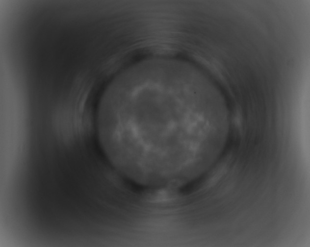 X0000100910663200807081125