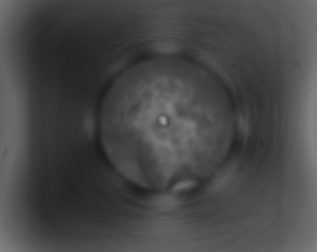 X0000100910668200807081125