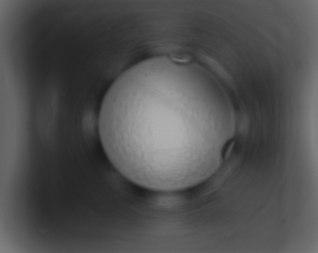 X0000100910669200807081125