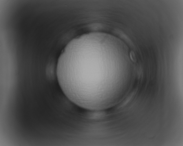 X0000100910670200807081125
