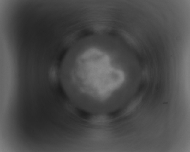 X0000100910671200807081125