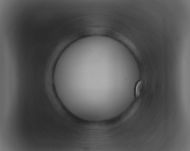 X0000100910673200807081125