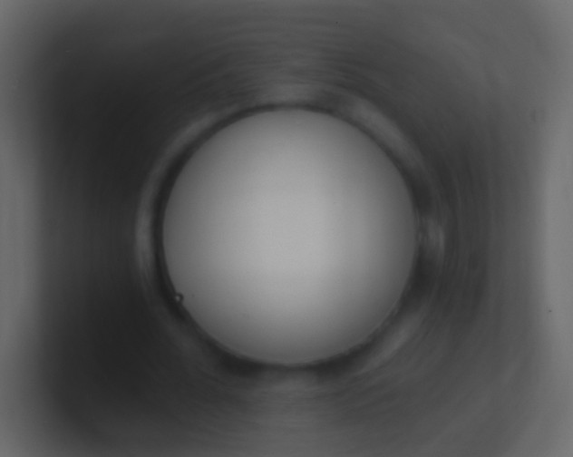 X0000100910676200807081125
