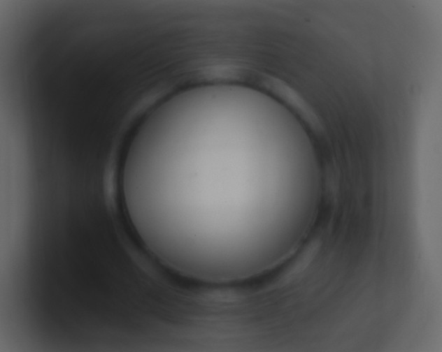 X0000100910677200807081125