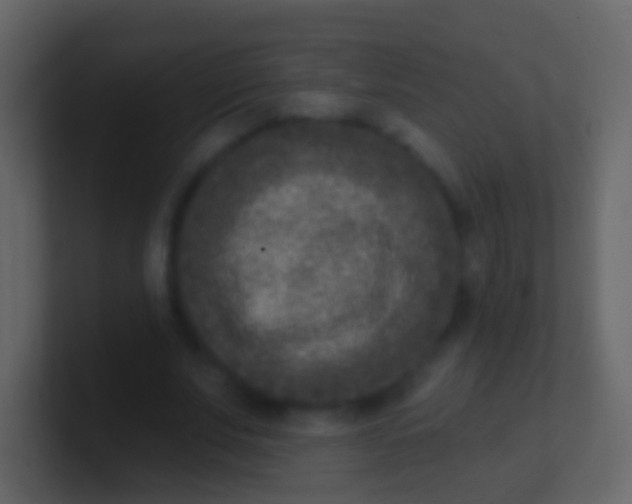 X0000100910679200807081125