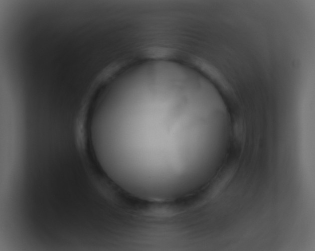 X0000100910682200807081125