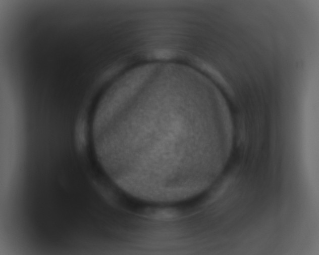 X0000100910683200807081125