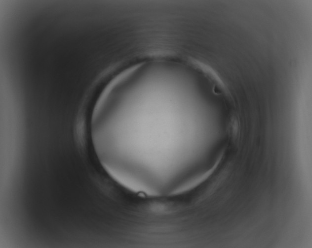 X0000100910684200807081125