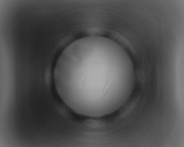 X0000100910690200807081124