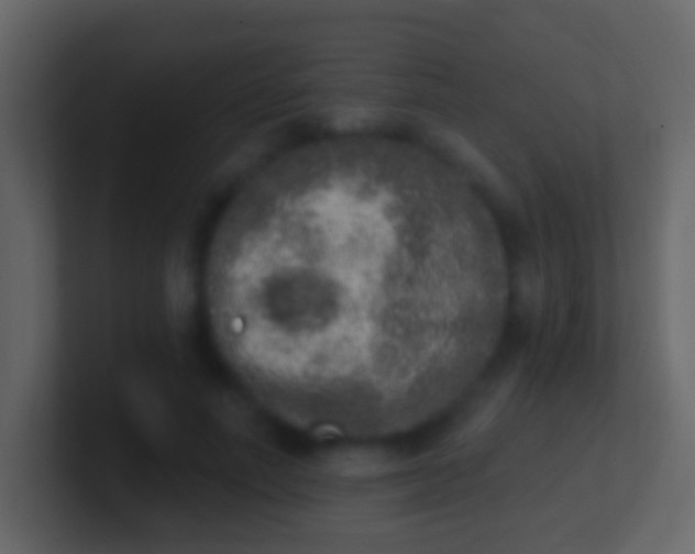 X0000100910691200807081124
