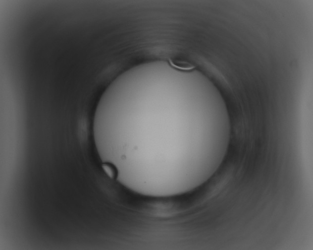 X0000100910693200807081124
