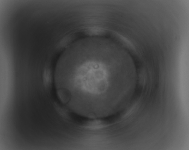 X0000100910695200807081124