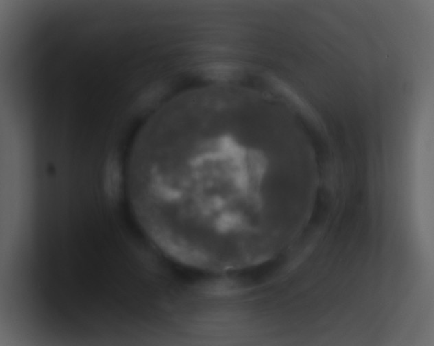 X0000100910696200807081124