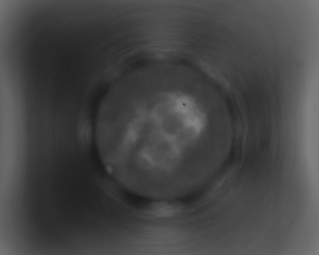 X0000100910703200807081124