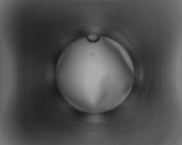 X0000100910710200807081124