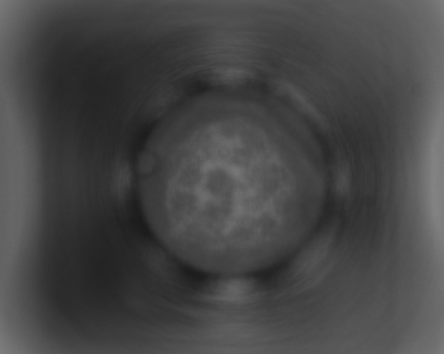 X0000100910711200807081124