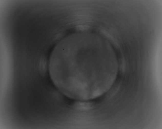 X0000100910712200807081124