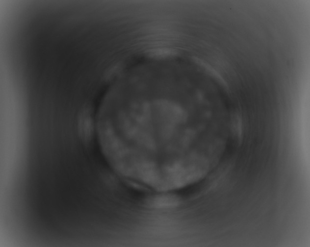 X0000100910716200807081124