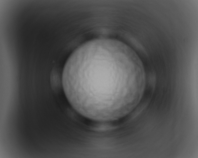 X0000100910719200807081124
