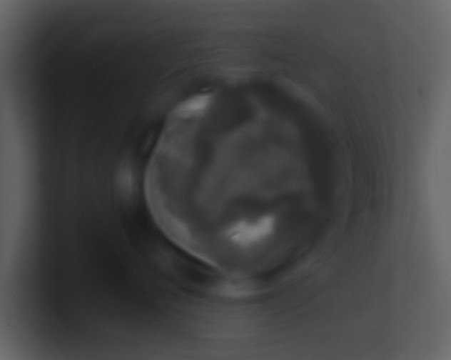 X0000100910720200807081124