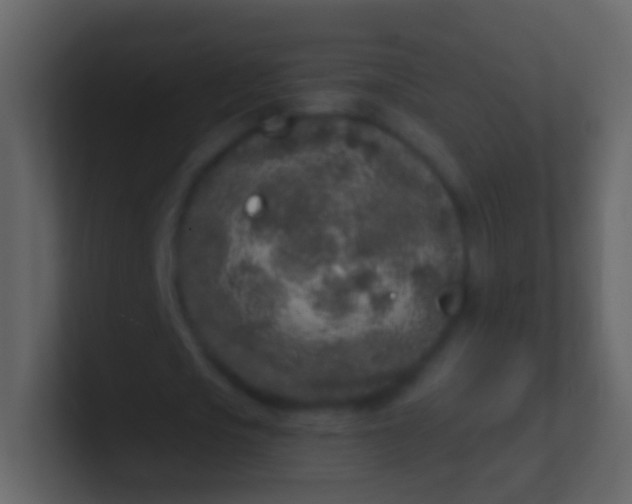 X0000100910721200807081123