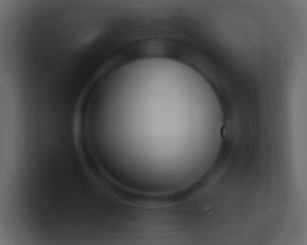 X0000100910722200807081123