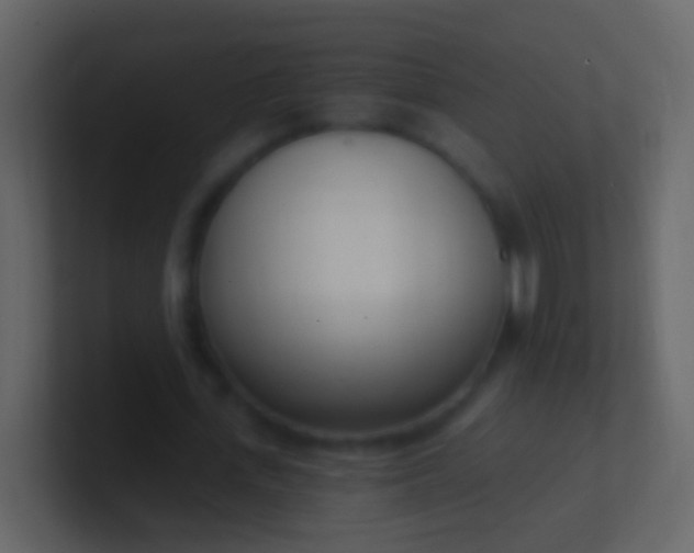 X0000100910723200807081123