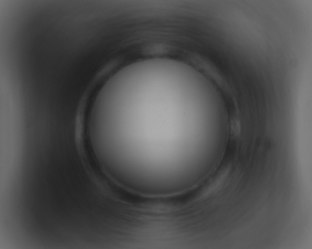 X0000100910724200807081123