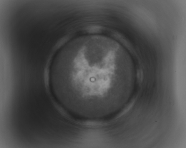X0000100910725200807081123