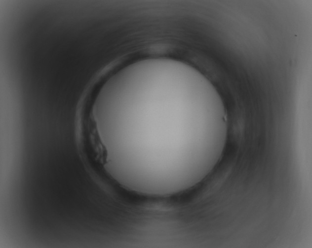 X0000100910728200807081123