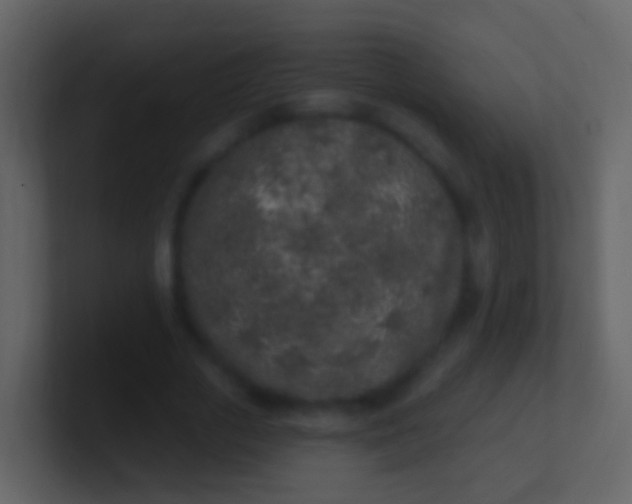 X0000100910729200807081123