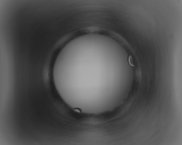 X0000100910732200807081124