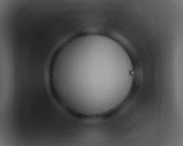 X0000100910734200807081124