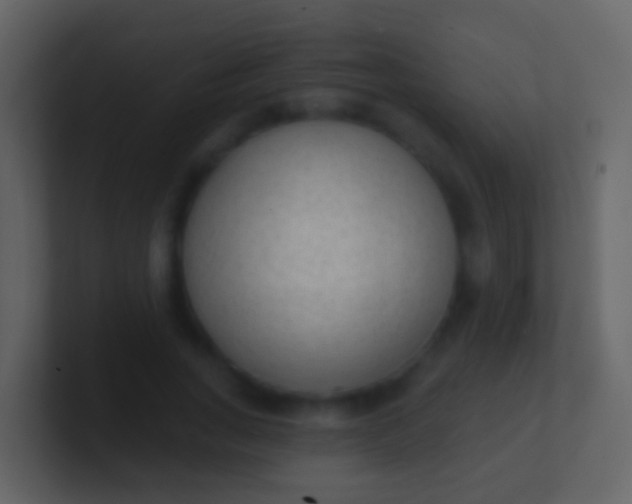 X0000100910735200807081124
