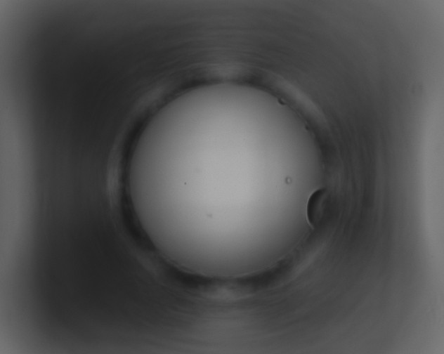 X0000100910736200807081124