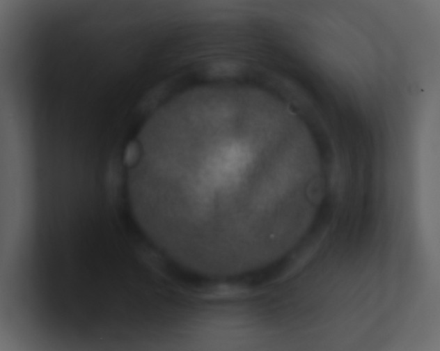 X0000100910737200807081124