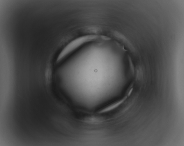 X0000100910739200807081124