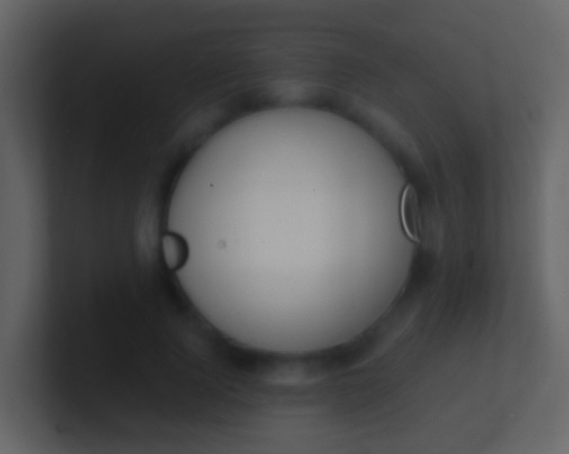 X0000100910740200807081124