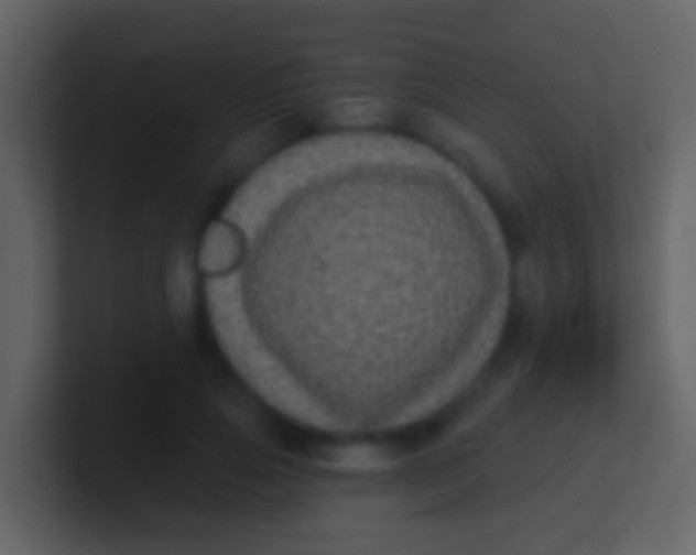 X0000100910741200807081124