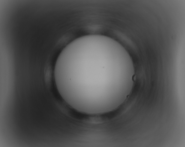 X0000100910744200807081124