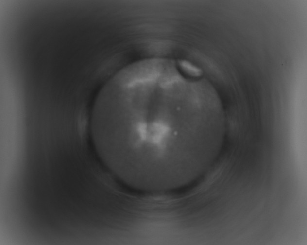 X0000100910745200807081124