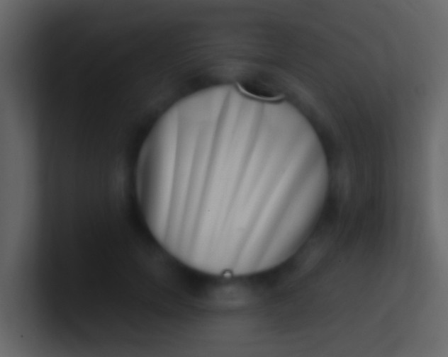 X0000100910750200807081124