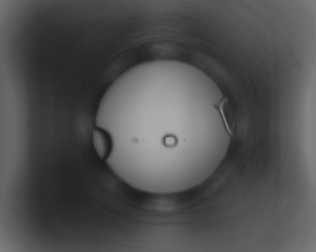 X0000100910756200807081124