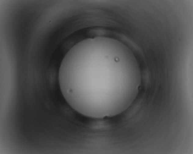 X0000100910760200807081124