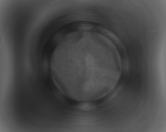 X0000100910761200807081124